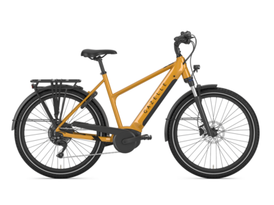 Gazelle Bikes Medeo T10
